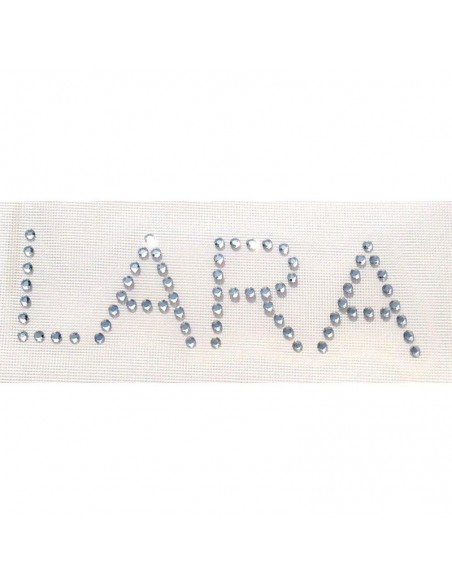 hotfix rhinestone name Lara