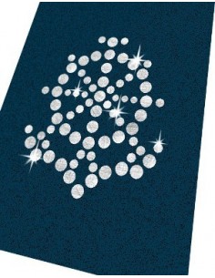 Timone e Ancora strass...