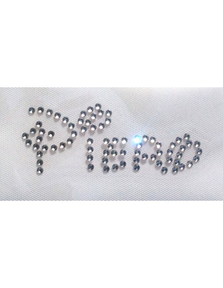 Swarovski hotfix name piero disney font