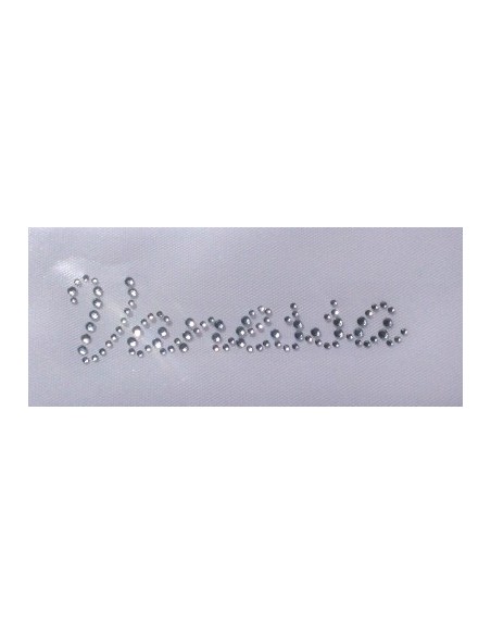 vanessa hotfix rhinestone
