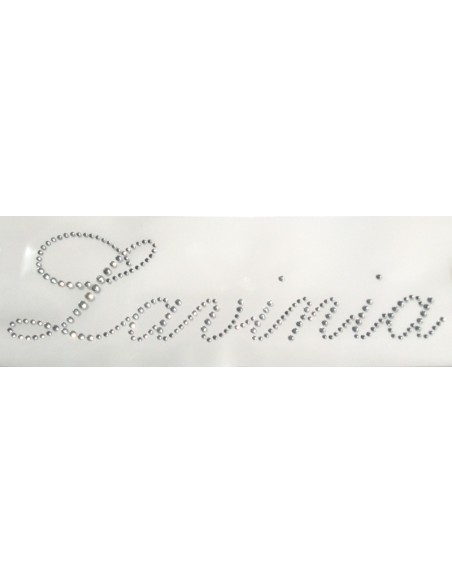 Lavinia rhinestone iron on