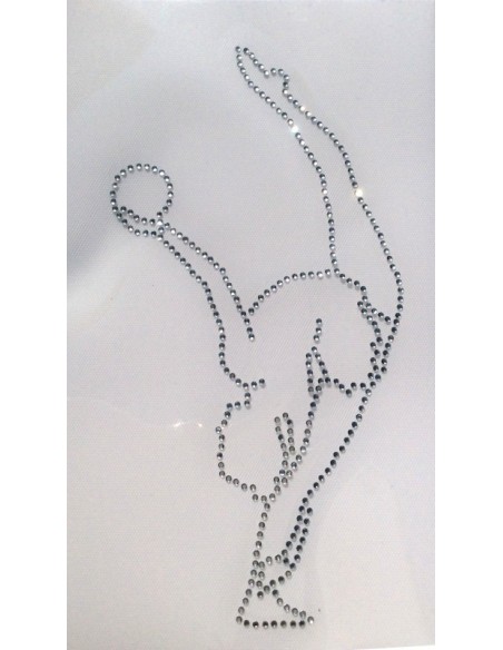 Rhythmic Gymnast ball hotfix rhinestone