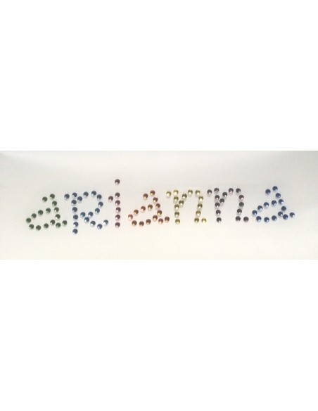 arianna rhinestone name multicolor