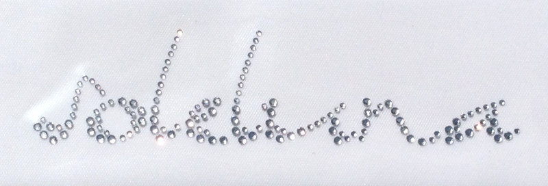 logo aziendale strass soleluna